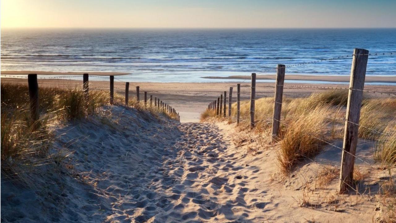 Coconut Beach Apartments Zandvoort Dış mekan fotoğraf